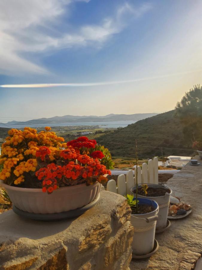 Romantic Sunset Cycladic House In Sotires Moni Christou Dasous Bagian luar foto