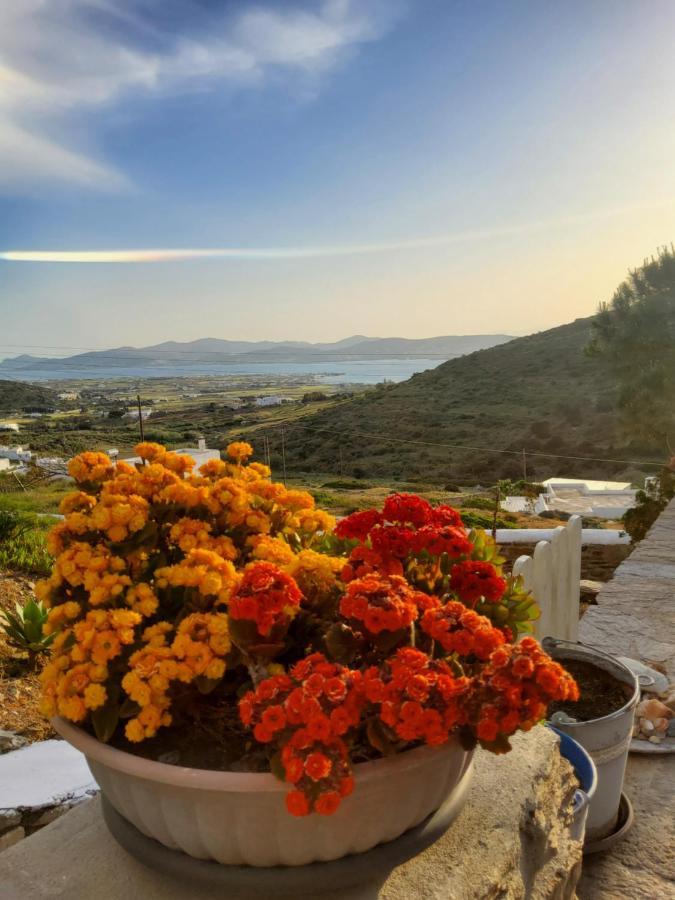 Romantic Sunset Cycladic House In Sotires Moni Christou Dasous Bagian luar foto